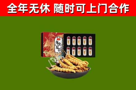 洛龙区烟酒回收冬虫夏草礼盒.jpg